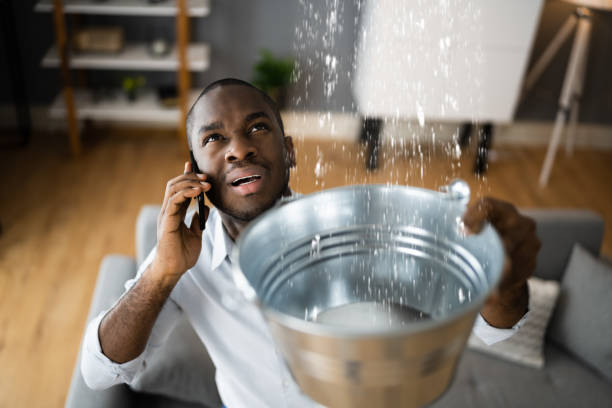 Best Water damage restoration cost  in Van Wert, OH