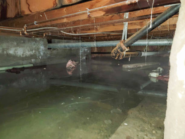 Best Ceiling water damage repair  in Van Wert, OH