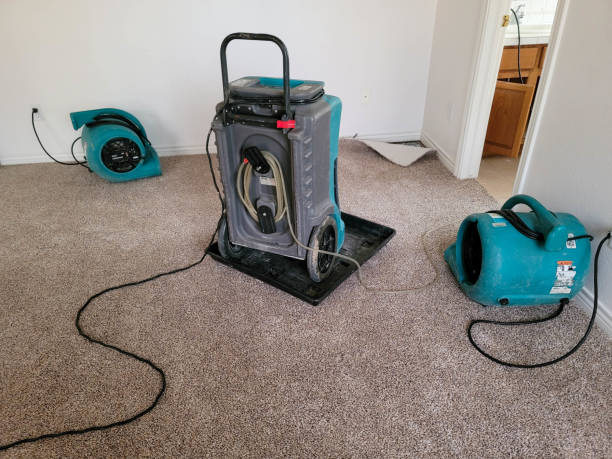 Best Water damage restoration insurance claims  in Van Wert, OH