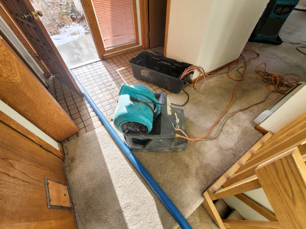 Best Water damage contractors near me  in Van Wert, OH
