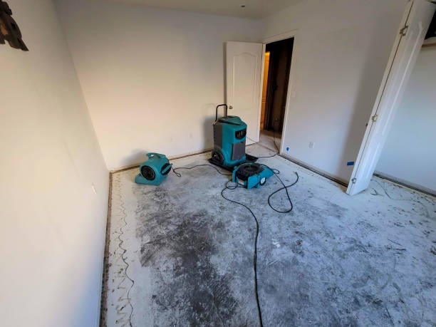Best Professional water damage repair  in Van Wert, OH