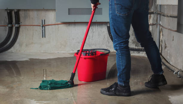  Van Wert, OH Water damage restoration Pros