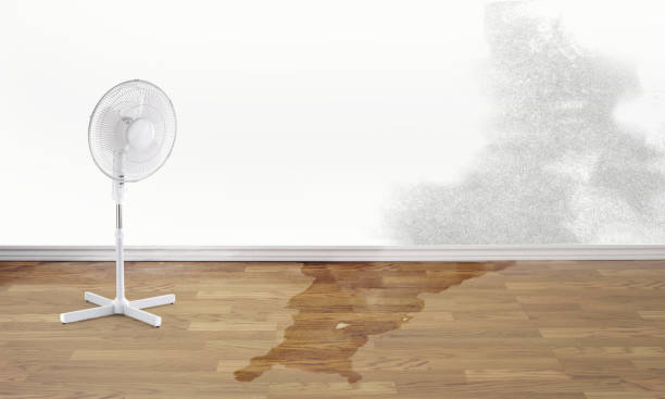 Water damage restoration insurance claims in Van Wert, OH