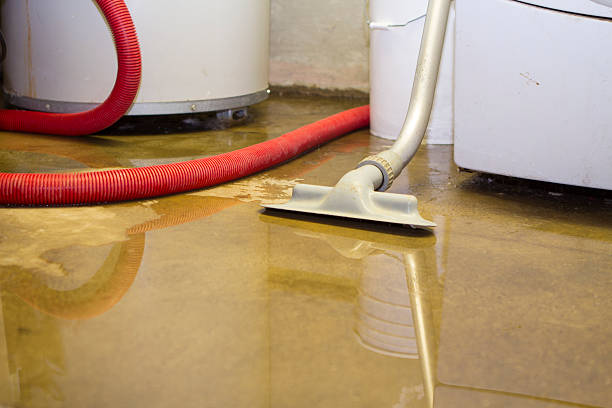 Best 24-hour water damage restoration  in Van Wert, OH