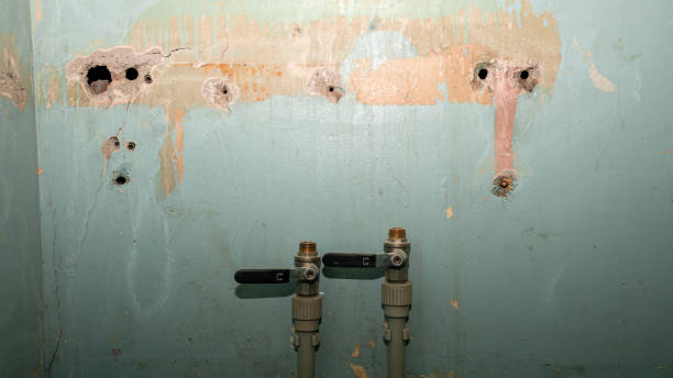 Best Flooded house restoration  in Van Wert, OH