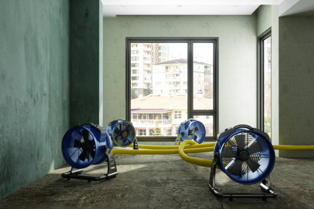 Best 24/7 water damage repair  in Van Wert, OH
