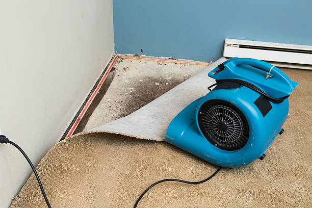 Carpet water damage restoration in Van Wert, OH